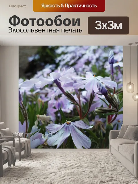 Фотообои Цветы