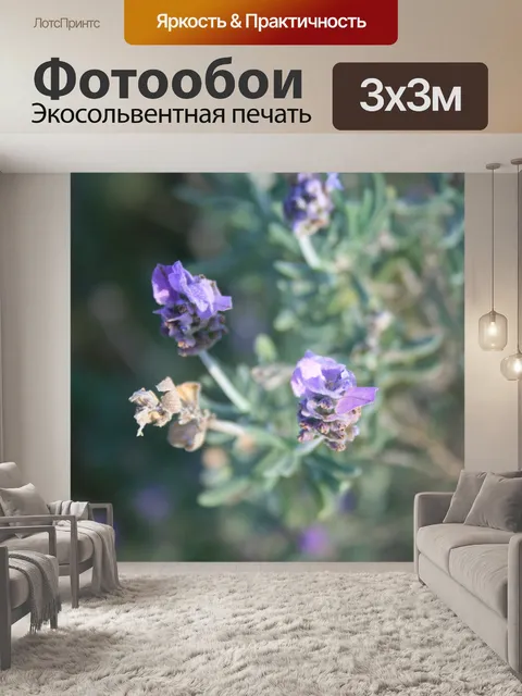 Фотообои свет на лаванды цветков