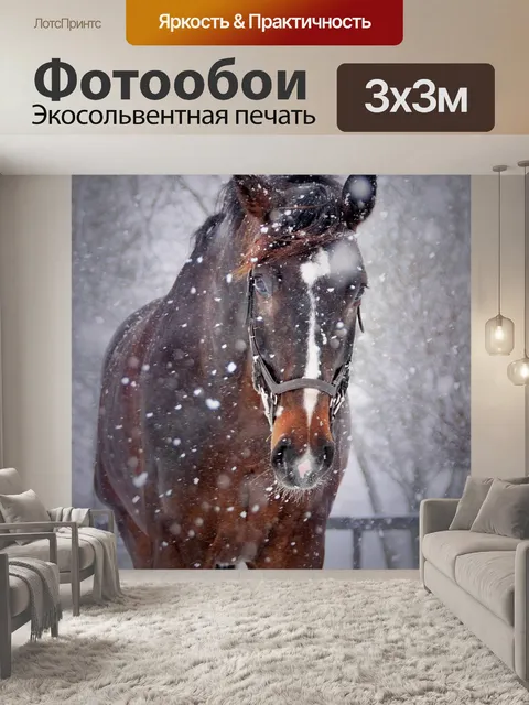 Фотообои Лошади