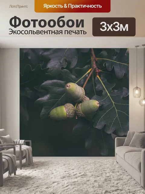 Фотообои Желуди