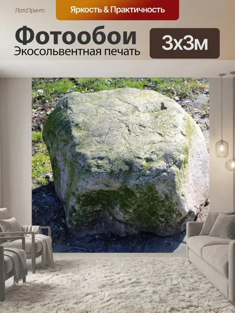 Фотообои Фон