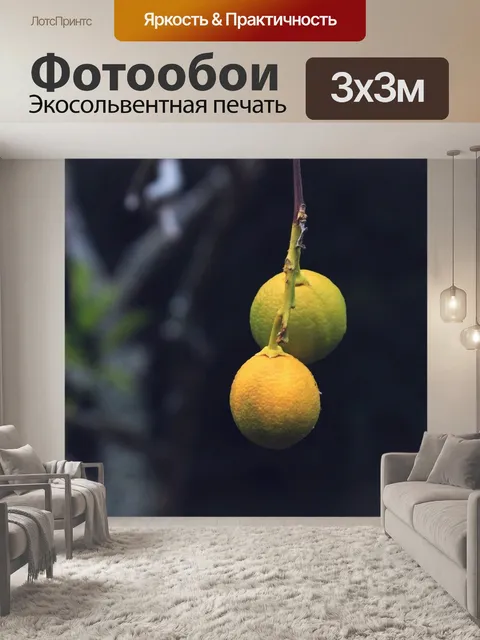 Фотообои Дерево