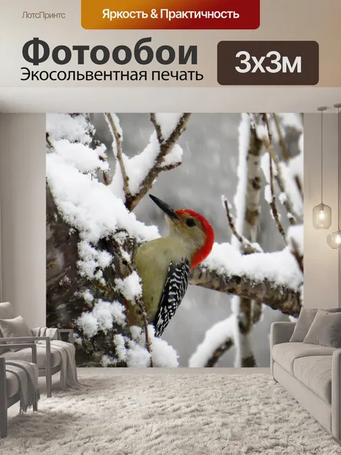 Фотообои Зима
