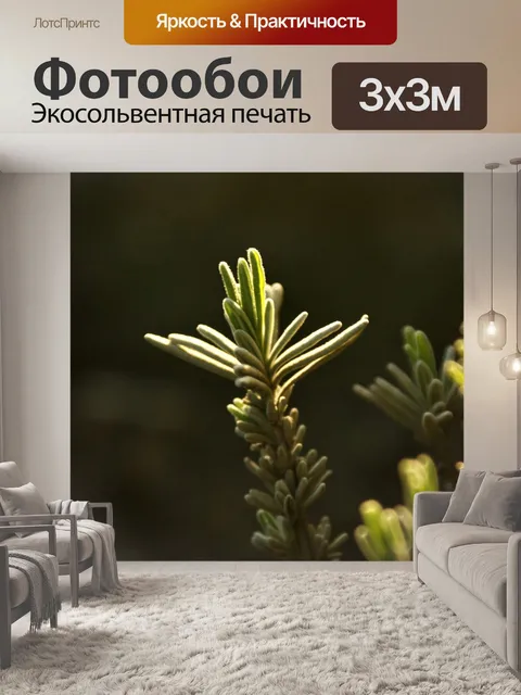 Фотообои Лаванда