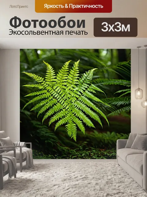 Фотообои листья папоротника в экзотическом лесу