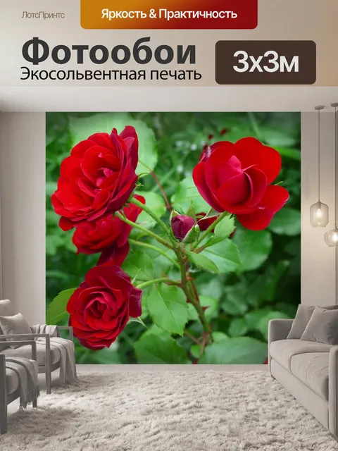 Фотообои Розы