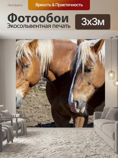 Фотообои лошадь