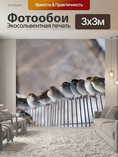 Фотообои Птицы