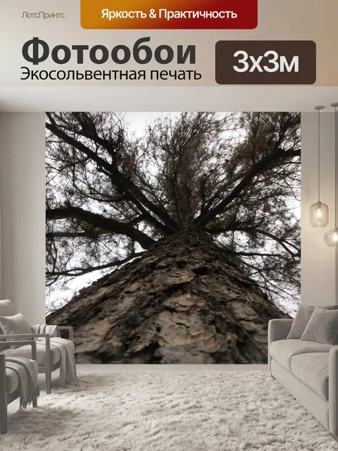 Фотообои Дерево Перспектива 46