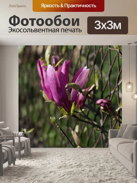 Фотообои Магнолия