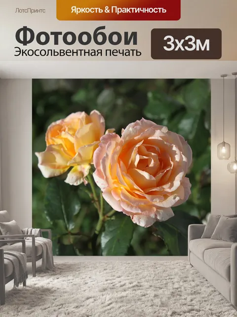 Фотообои Розы