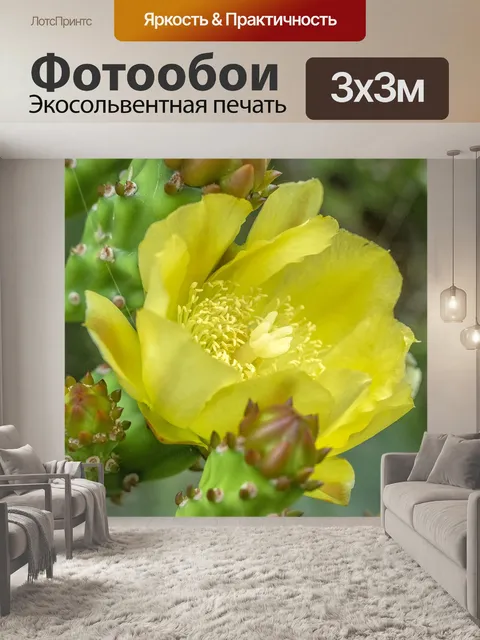 Фотообои Цветы
