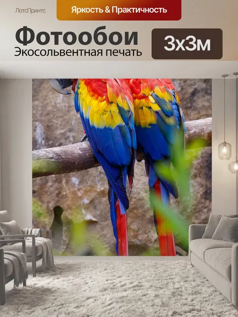 Фотообои Алая ара