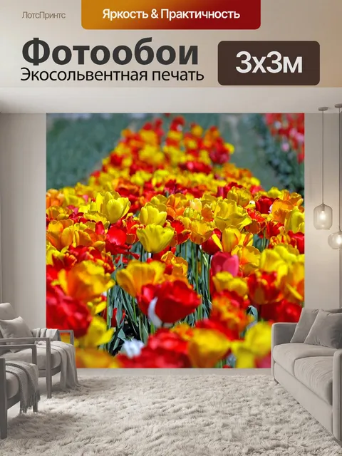 Фотообои Тюльпаны