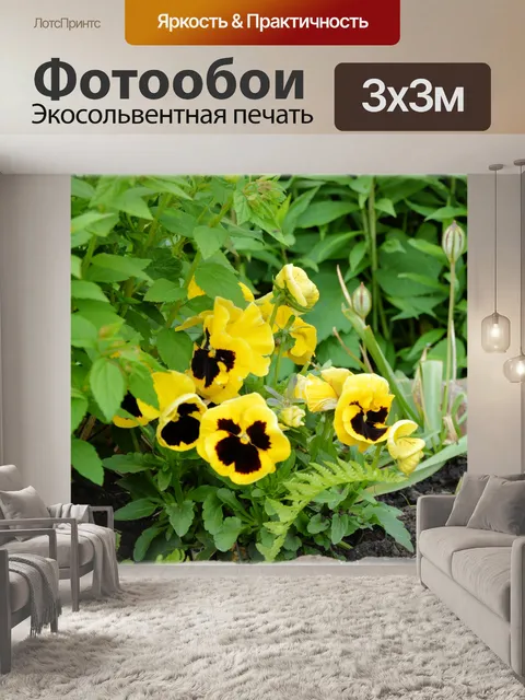 Фотообои Голландские цветы в саду