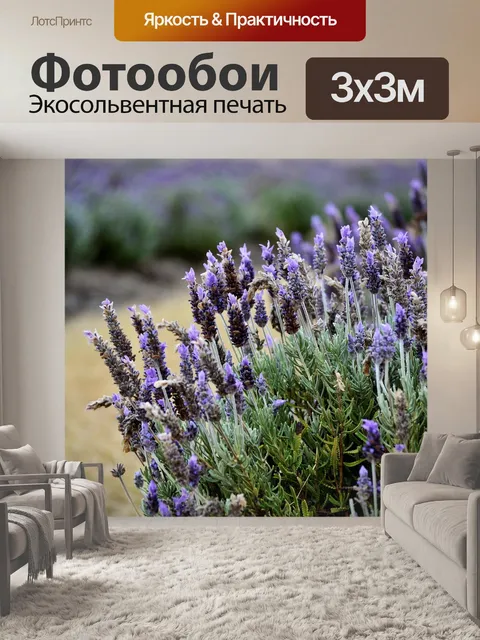 Фотообои Лаванда