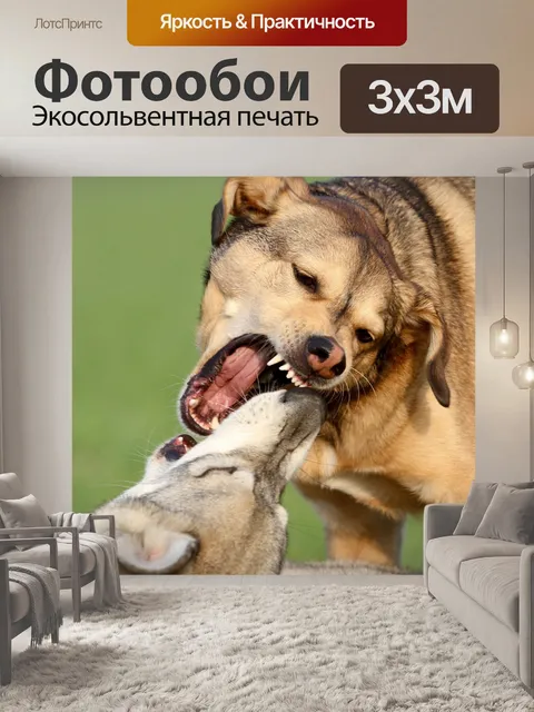 Фотообои Собаки