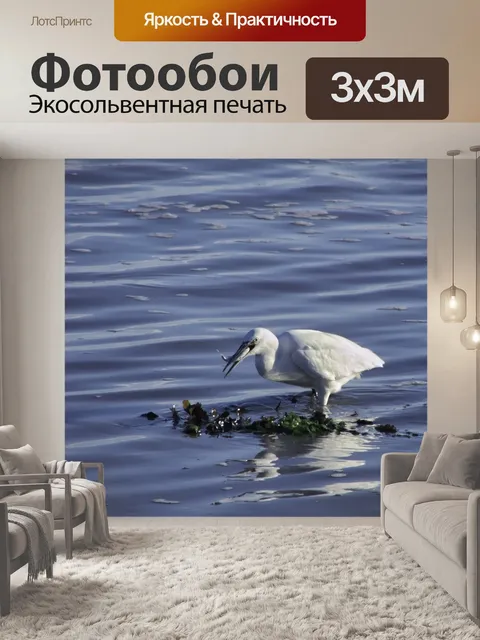 Фотообои Птицы