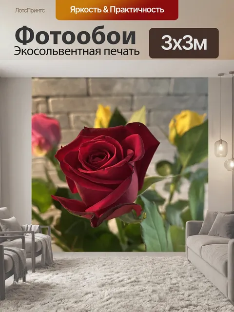 Фотообои Роза