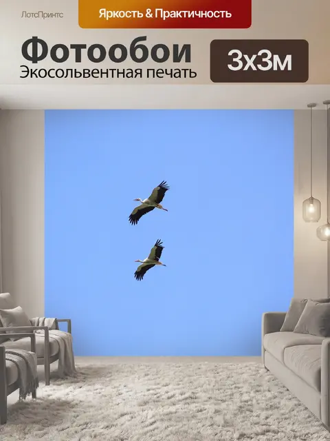 Фотообои Птицы