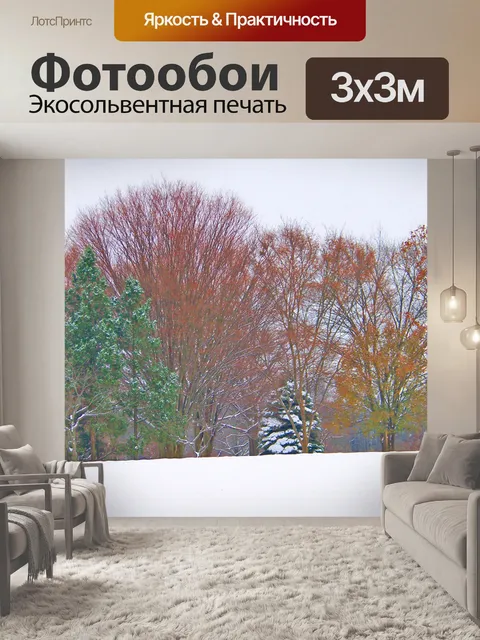 Фотообои Деревья в снегу