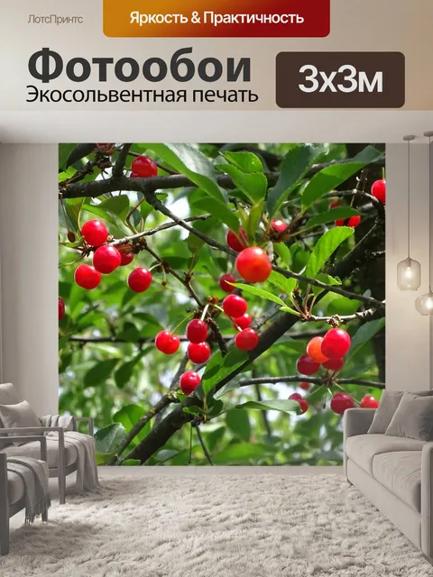 Фотообои Вишня