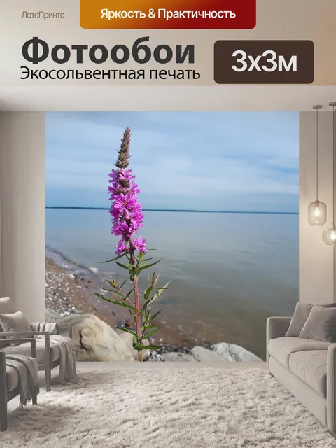 Фотообои Фиолетовый цветок