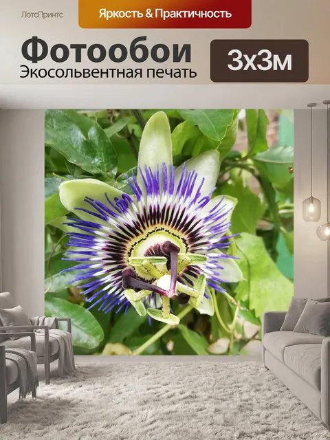 Фотообои Цветок