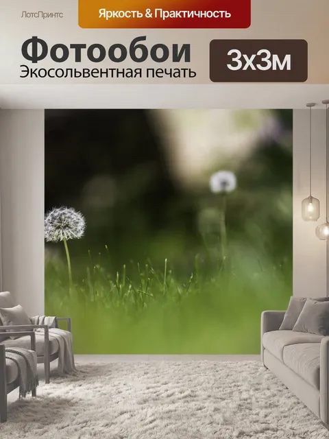 Фотообои Одуванчик