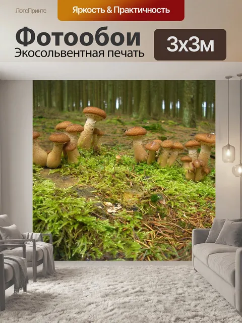 Фотообои Природа