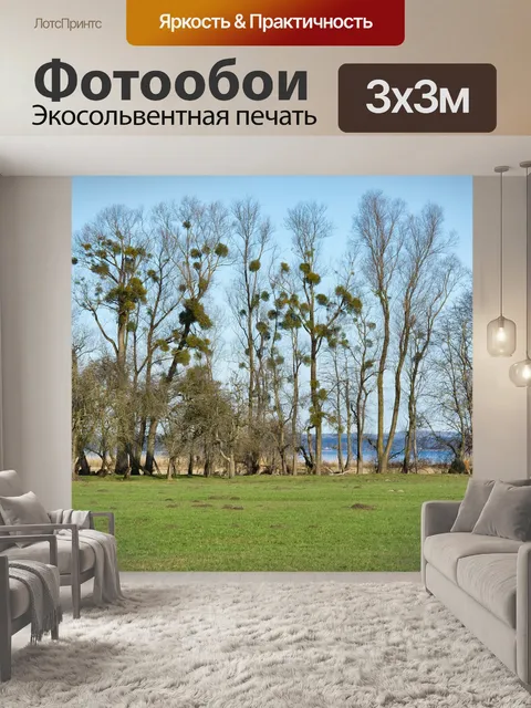 Фотообои Деревья