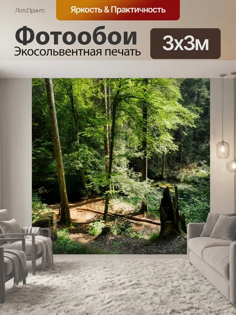 Фотообои Лес