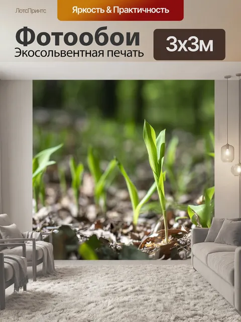 Фотообои Природа