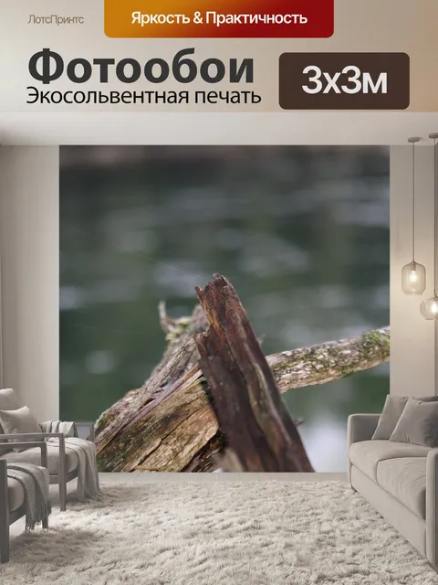 Фотообои Природа