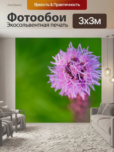 Фотообои Пылающие звездные цветы