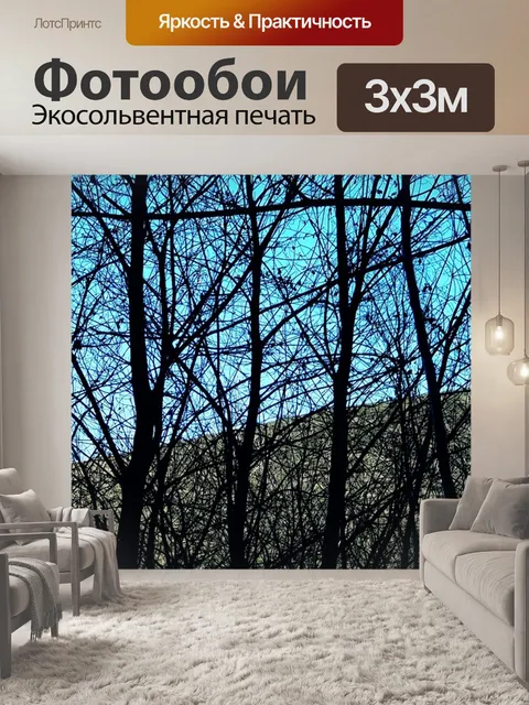 Фотообои Небо