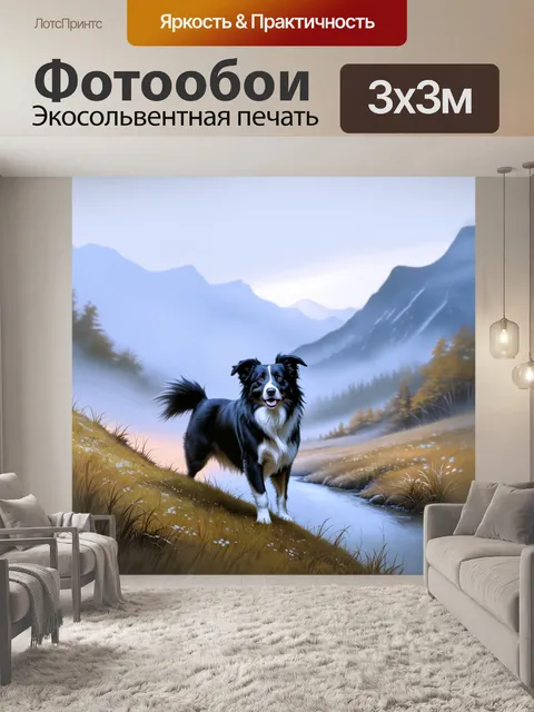 Фотообои бордер-колли, стоящий на утреннем тумане на холме, ветер поднимает его шерсть