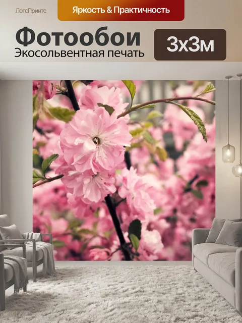 Фотообои сакура
