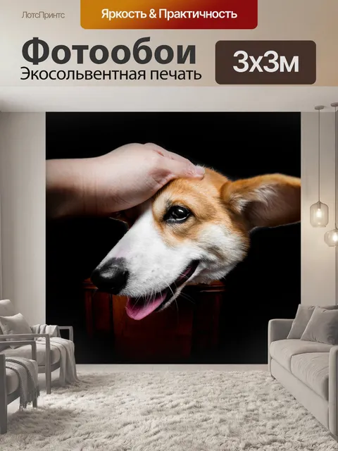 Фотообои Собака