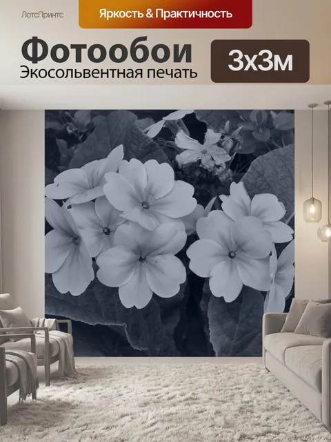 Фотообои Первоцветы, весенние цветы