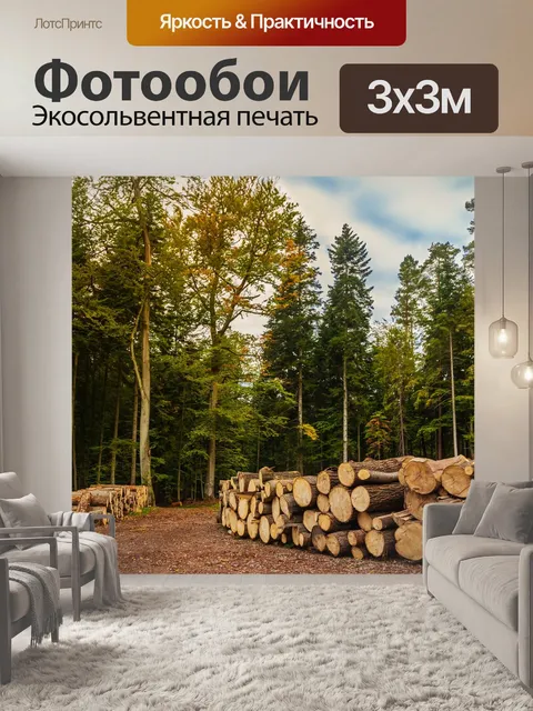 Фотообои Осень