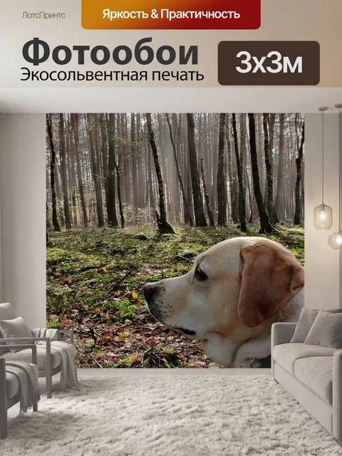 Фотообои Собака