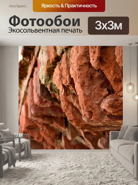 Фотообои Дуга