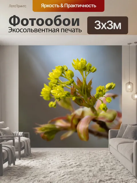 Фотообои Листья