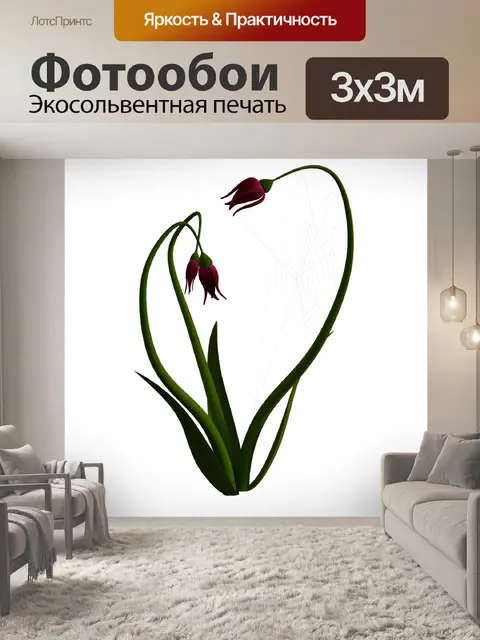 Фотообои Розы