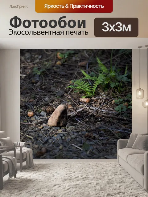 Фотообои Скала в лесу