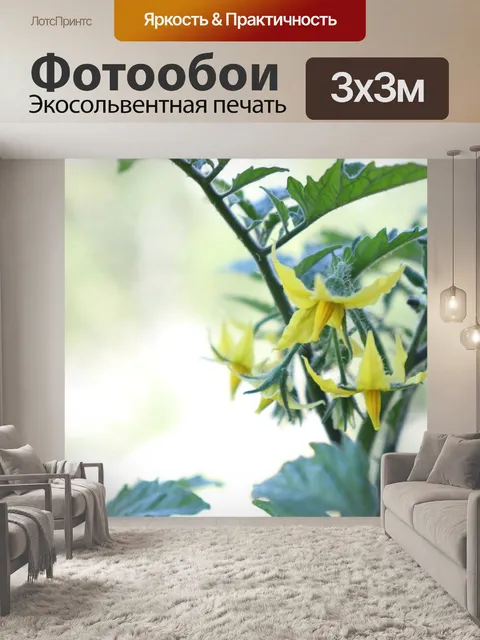 Фотообои Помидоры