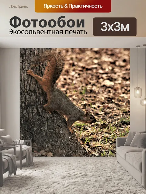 Фотообои Белка у основания дерева
