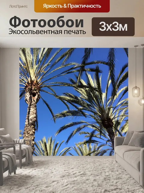 Фотообои Пальма