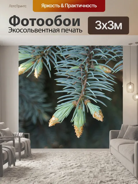 Фотообои Цветы